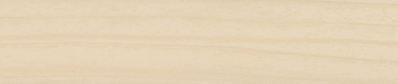 ABSB 7326/06 23/0,8