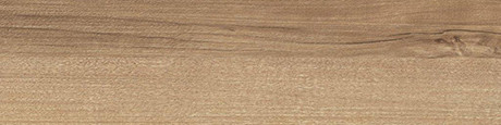 ABSB H3700 ST10 Orech Pacifik prírodný 54/2
