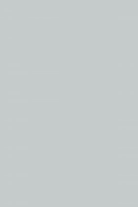 DTDL 112 PE Kamenná šedá 2800/2070/16