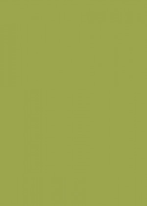 Rauvisio Crystal SLIM 2445L Verde (Zelená) MATT 2800/1300/3,5
