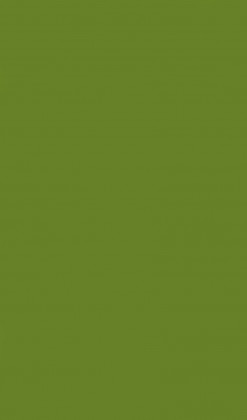 DTDL U19502 SD Limette 2800/2100/18