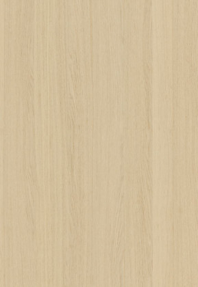 ABSB SHINNOKI 4.0 Milk Oak 24/1