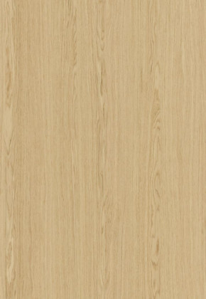 ABSB SHINNOKI 4.0 Ivory Oak 48/1