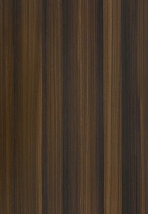 ABSB SHINNOKI 4.0 Shadow Eucalyptus 24/1