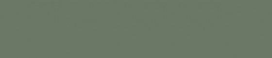 ABSB 141343/OHNE/LPE05 Smoke Green K521 SU 28/0,8