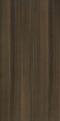 MDFD DUB Robusta typ B1 A/B 3050/1220/19