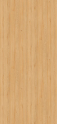 LAM H1910 ST9 Buk Willow 2800/1310/0,8