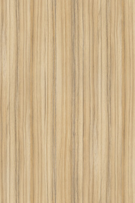 DTDL 8995 SN BU Coco Bolo 2800/2070/18