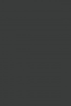 DTDL 164 PE BU Antracit 2800/2070/18