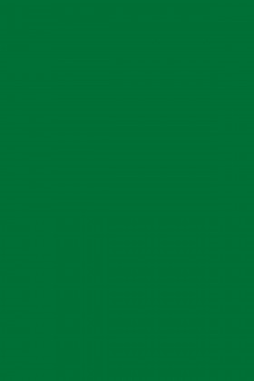 DTDL 9561 BS BU Oxide Green 2800/2070/18