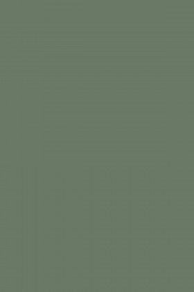 DTDL K521 SU BU Smoke Green 2800/2070/18
