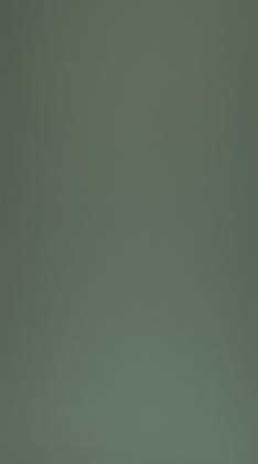 DTL FENIX 0773 NTM "Bloom" Verde Brac 2str. 3050/1300/19