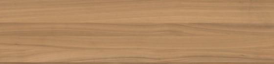 HRDB NUXE Orech Imperial Eccentrics 24/0,6