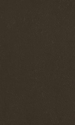 DTDL FD36 TN/TN TARANTA 2800/2070/18,3