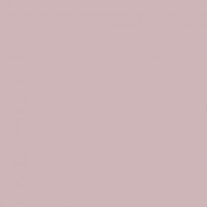 DTDL U17501 SD Rose 2800/2100/18 DTDL U17501 SD Rose 2800/2100/18