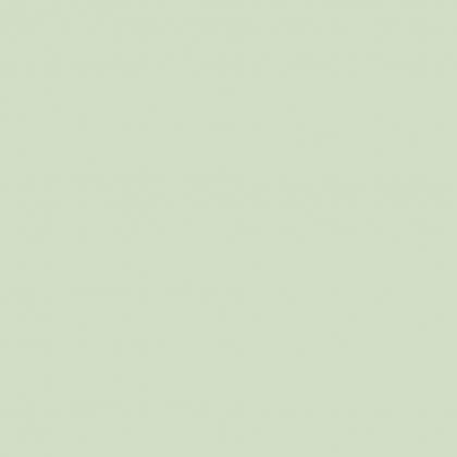 DTDL U19015 SD Spearmint 2800/2100/18 DTDL U19015 SD Spearmint 2800/2100/18