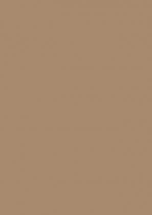 LAM U250 ST9 Karamelovo béžová 2800/1310/0,8