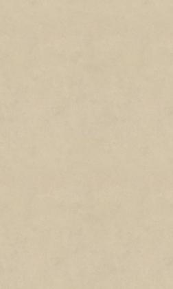 DTDL FD10 TN/TN TARANTA 2800/2070/18,3