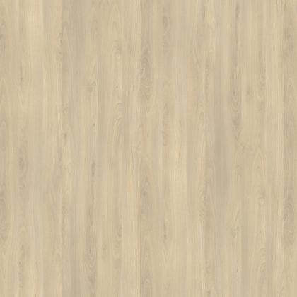 KD-IN R24029 SD Buk Fjord svetlý ČJ CGS 2800/2070/12