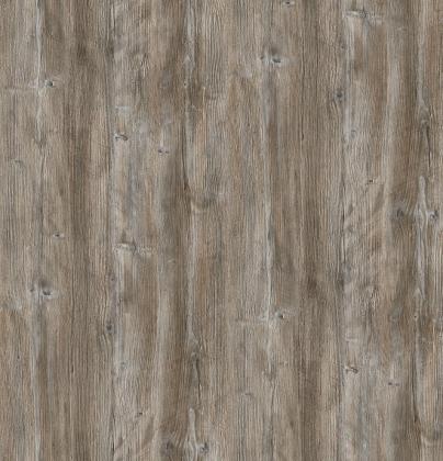 DTDL R55004 DU Pínia Ponderosa 2800/2100/18