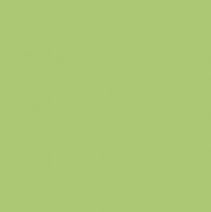 DTDL U19508 SD Chartreuse 2800/2100/18