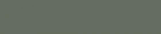 ABSB 141343/OHNE/LPE05 Smoke Green K521 SU 64/0,8