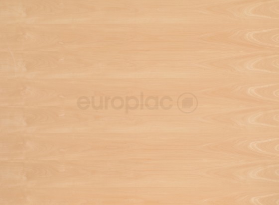 DTDD Buk parený standard A/B 2800/2070/19