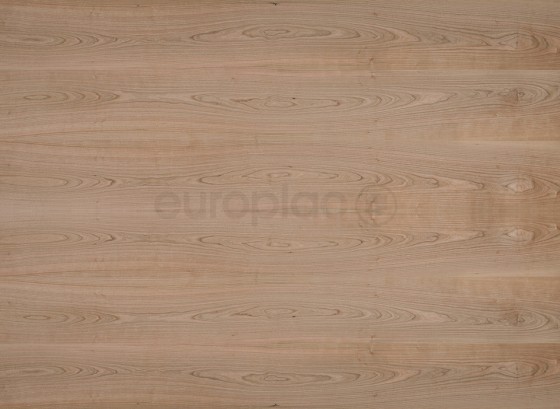 DTDD ČEREŠŇA americká Classic A/B 2800/2070/19