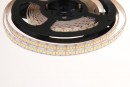 TL-LED pásik 24W/m 12V,10mm biela studená