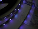 TL- UV LED pásik 14,4W/m, 12V  original UV čip