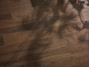 Podlaha PARKY DELUXE+ 06 Smoked Walnut 1810/166/12 mm