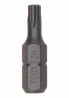 BOSCH 2607002799 ExH T20 25 mm, 25 ks