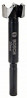 BOSCH 2608577007 Vrták Forstner 22 mm