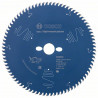 BOSCH 2608644359 EX TR T 250x30-80