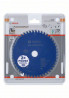 BOSCH 2608644548 Pílový kotúč pre AKU Expert for Laminated Panel 160x1,8x20, 48