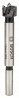 BOSCH 2608597601 Sukovník s tvrdokovom a predrezovými hrotmi 15 x 90 mm, d 8 mm
