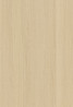 ABSB SHINNOKI 4.0 Milk Oak 24/1