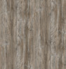 LAM R55004 RU Borovica Ponderosa 4100/1300/0,8