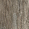 LAM R55004 RU Borovica Ponderosa 4100/1300/0,8