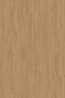 DTDL 5527 SN BU Stone Oak 2800/2070/18