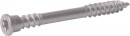 TK-RAPI-TEC Teraso Top 5,5x50mm T25 nerez