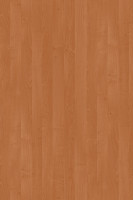 DTDL 1912 BS Alder 2800/2070/25