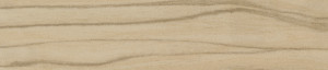 ABSB 710W/01 R50030 FL 19/0,8