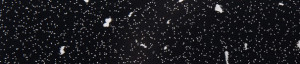 ABSB K218 GM Andromeda čierna (NOVÁ HRANA) 42/1