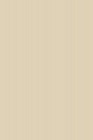 DTDL 522 PE BU Beige 2800/2070/18
