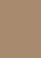 PerfectSense DTD U250 TM/ST7 Karamelovo béžová 2800/2070/19