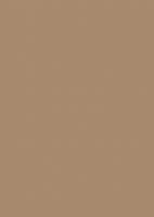 LAM U250 ST9 Karamelovo béžová 2800/1310/0,8