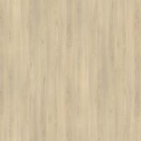 KD-IN R24029 SD Buk Fjord svetlý ČJ CGS 2800/2070/12