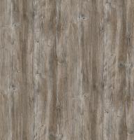 DTDL R55004 DU Pínia Ponderosa 2800/2100/18