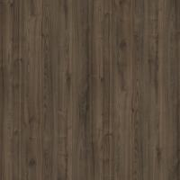 DTDL R38000 NW Gaštan 2800/2100/18